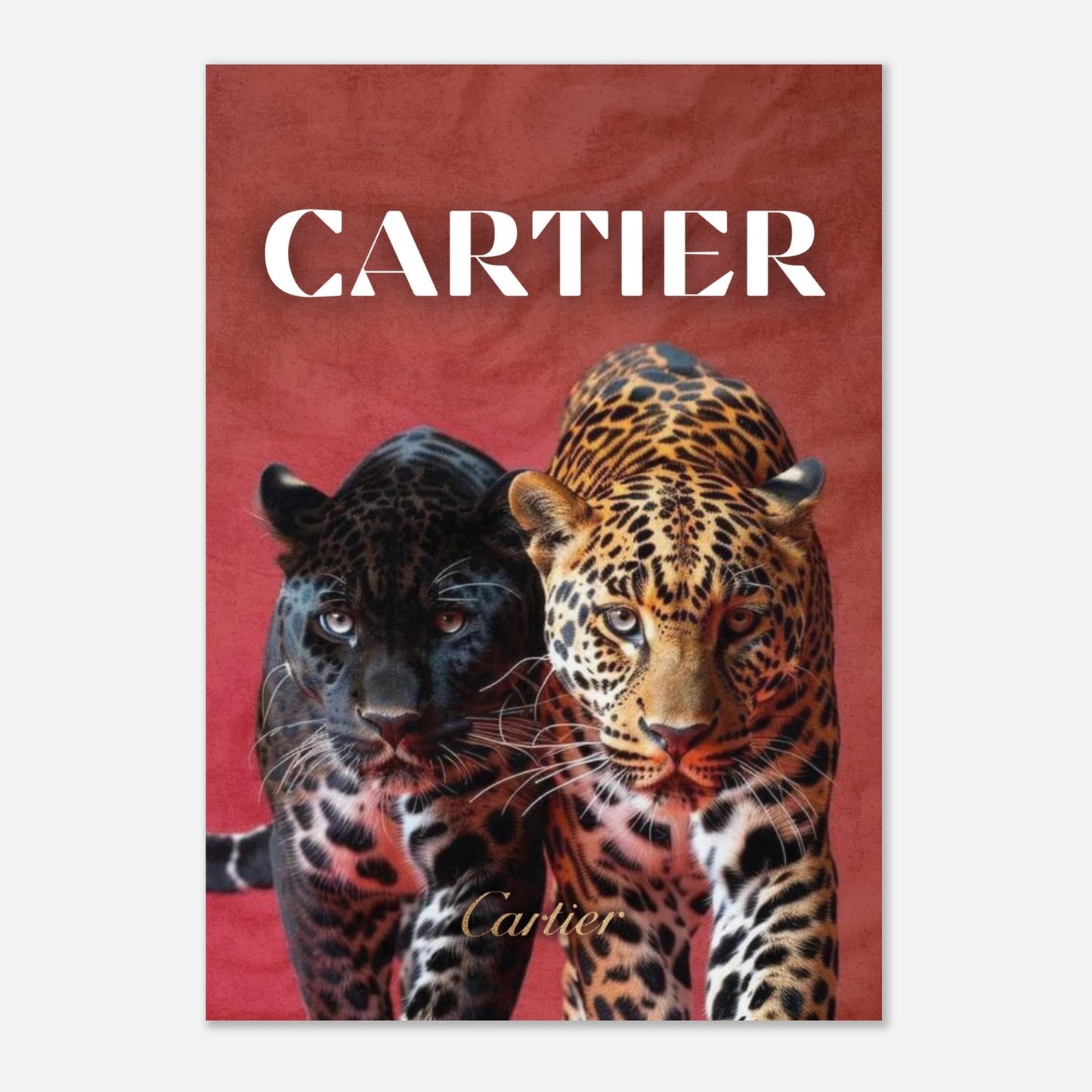 6d48dddf-554a-41c4-a9d4-8418ba0ff3cb